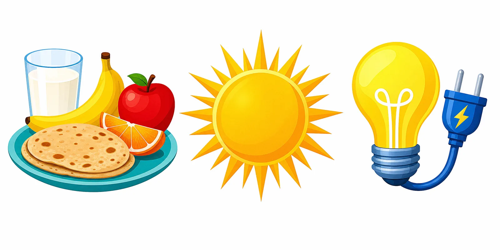 Where our energy comes from — food, sunlight and electricity.